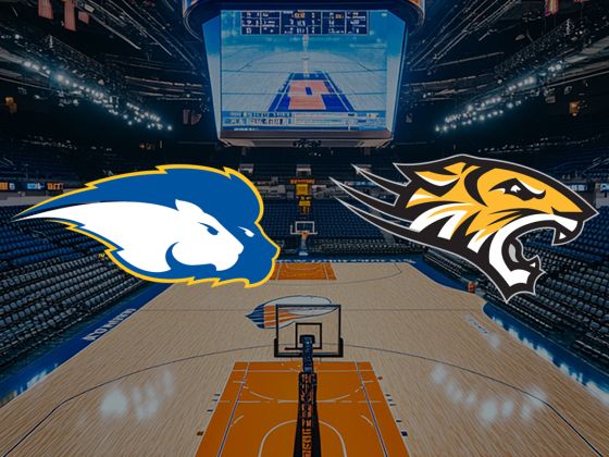 Hofstra Pride at Towson Tigers Basketball